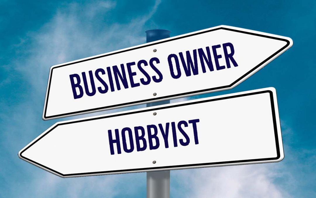 Are you a Hobbyist or a Business Owner?